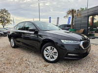 #Skoda#Octavia#Sedan#2.0#TDI#NAVI#PDC.TYL.PRZOD#LED#ALU#SUPERSTAN# Nowe Sójki - zdjęcie 5