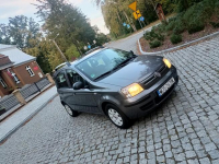 Sprzedam Fiat Panda Ostrołęka - zdjęcie 5