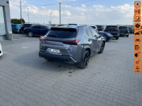 Lexus UX 250H Salon PL Hybryda Automat Kamera Skóra 184KM