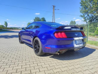 Ford Mustang zadbany oryginalny lakier serwisowany Kalwaria Zebrzydowska - zdjęcie 2