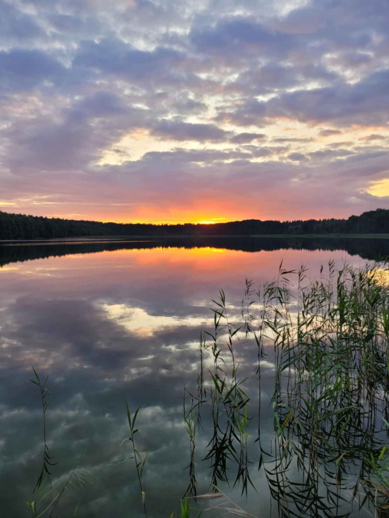 Pole kamperowe Stępień - zdjęcie 11