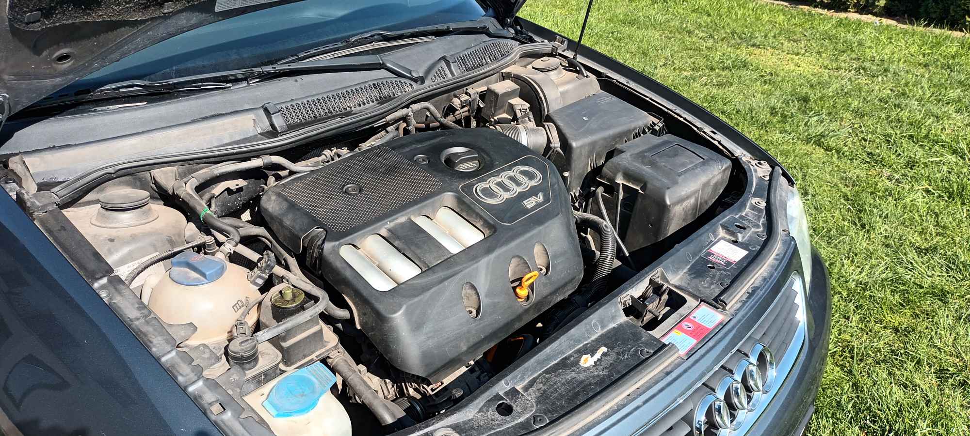 Audi a3 8l Mikołów - zdjęcie 5