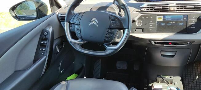 Sprzedam Moją Cytrynkę Nowe Miasto Lubawskie - zdjęcie 8