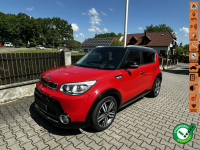 Kia Soul 1,6 crdi 128ps automatic idealna świeżo zarejestrowana z Navi