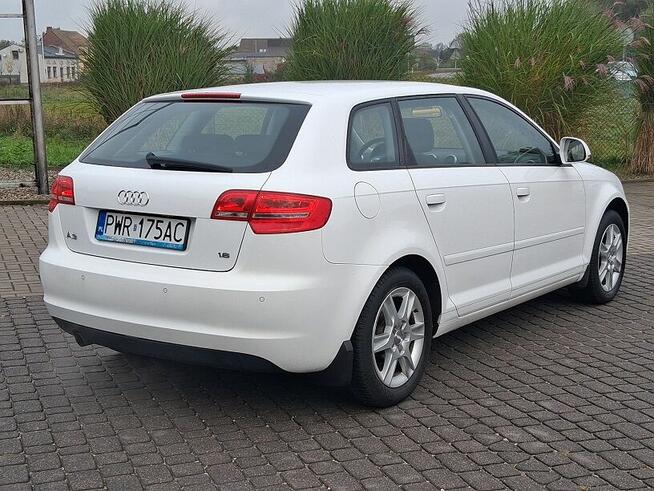 Audi A3 1.6 102 KM Salon Polska TYLKO 106000 KM Przebiegu Kl Słupca - zdjęcie 4