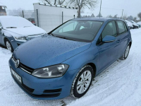 Volkswagen Golf navi, klima, gwarancja! Zbąszyń - zdjęcie 2