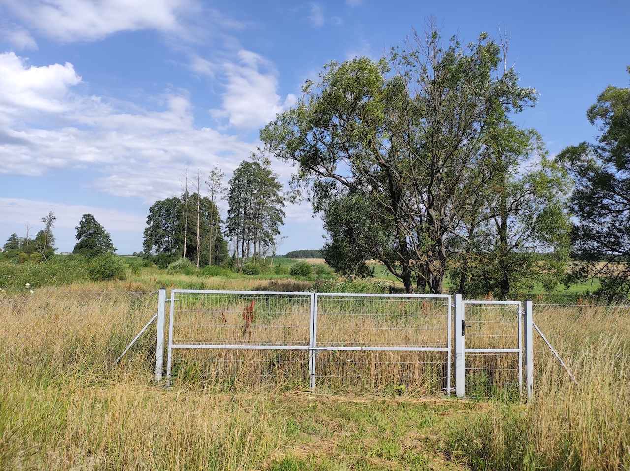 Sprzedam ładny dom na gruncie rolnym na Podlasiu Starowieś - zdjęcie 12