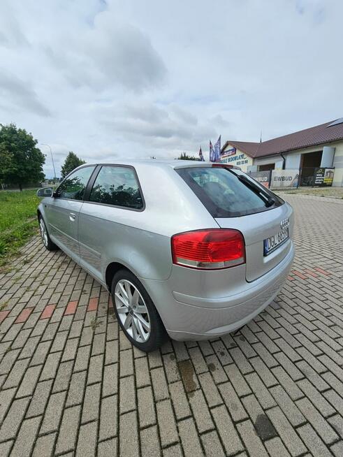 Audi A3 Krajowe | 1.6 MPI 102 KM | 3-drzwiowe | VAT Marża Głogów - zdjęcie 3