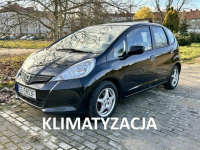 Honda Jazz Słupsk - zdjęcie 1