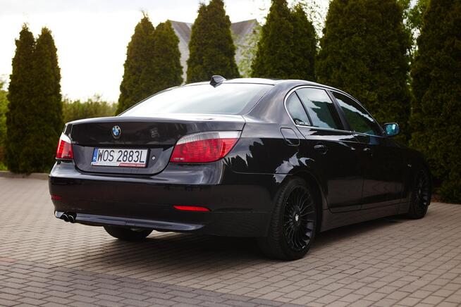 BMW 530 Rzekuń - zdjęcie 6