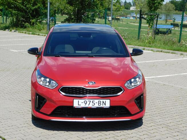 Kia Pro Cee'd z Gwarancja Model 2022 Żyrardów - zdjęcie 2