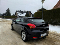 Kia Pro_cee'd 1.6 CRDI 90KM 2008r Klima, Manual Tychy - zdjęcie 4