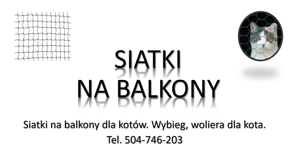 Woliera dla kota, cena i montaż, tel. 504-746-203  wybieg dla kota Psie Pole - zdjęcie 4