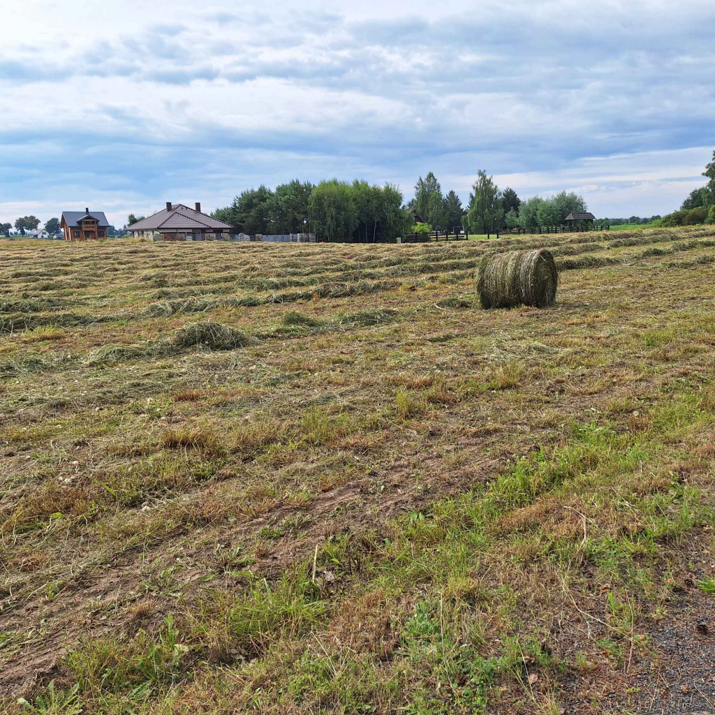 Działkę rolną Kałduny - zdjęcie 4