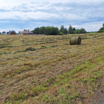 Działkę rolną Kałduny - zdjęcie 4