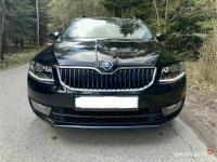 Skoda octavia III 2.0 2016 Zagnańsk - zdjęcie 2