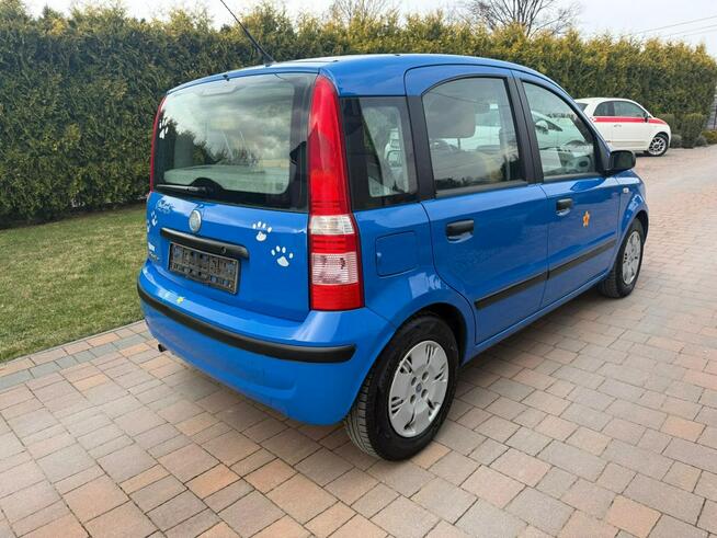 Fiat Panda Klimatyzacja bezwypadkowy !!! Rzeszów - zdjęcie 9