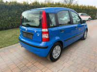 Fiat Panda Klimatyzacja bezwypadkowy !!! Rzeszów - zdjęcie 9