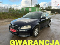 Audi A3 Automat Climatronic zarejestrowane