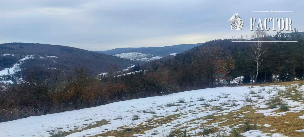 Działka budowlana 1,07 ha – Siary, gm. Sękowa 1170S/2026 Siary - zdjęcie 11