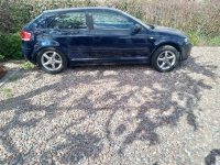 Audi A3 1.6 MPI 102 KM 2006 rok