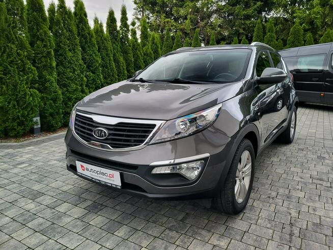 Kia Sportage Jatutów - zdjęcie 2