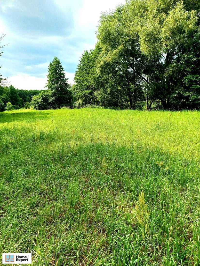 Działka Budowlana (4169 m2) Okolice Prostej (Ligota Piękna) Ligota Piękna - zdjęcie 2