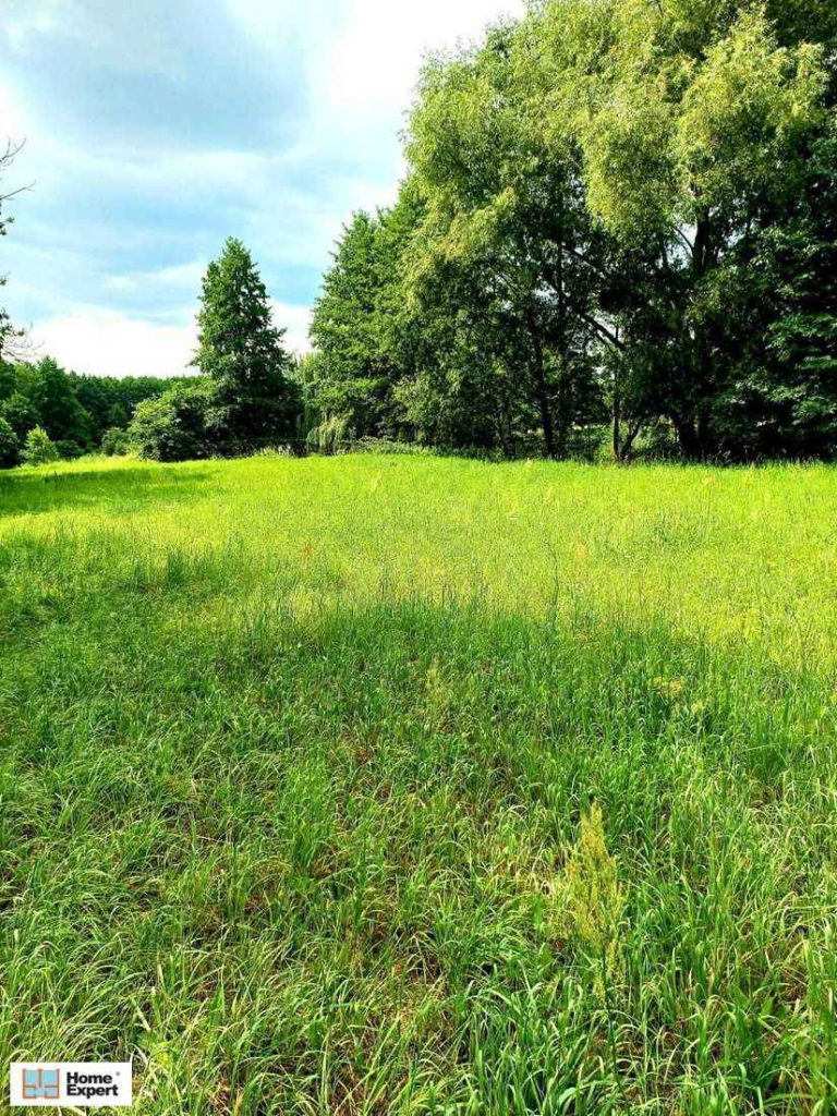 Działka Budowlana (4169 m2) Okolice Prostej (Ligota Piękna) Ligota Piękna - zdjęcie 2