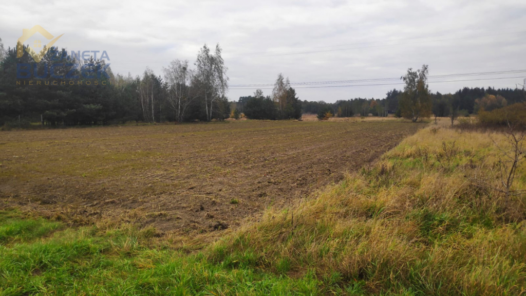 Sprzedam działkę w Budkach Żelazowskich, z MPZP Budki Żelazowskie - zdjęcie 1