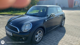 Mini szukasz dzwoń ! Dankowice - zdjęcie 3