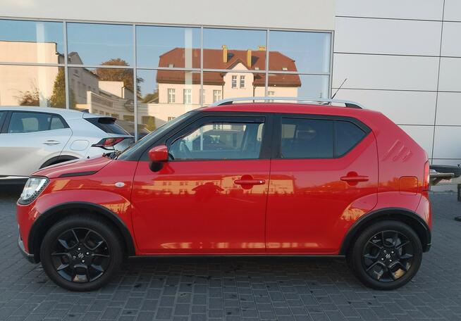 Suzuki Ignis Premium / serwisowany w ASO Toruń - zdjęcie 2