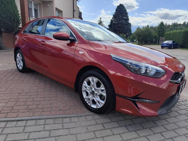 Kia Cee'd 2024/SALON POLSKA/FV23%/stan bdb/gwarancja Ełk - zdjęcie 10