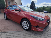 Kia Cee'd 2024/SALON POLSKA/FV23%/stan bdb/gwarancja Ełk - zdjęcie 10