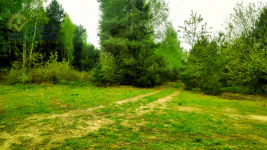 Sprzedam działkę rolną w Juliopolu 12 ha Juliopol - zdjęcie 3