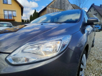 Ford Focus 1,0 100KM Harklowa - zdjęcie 8