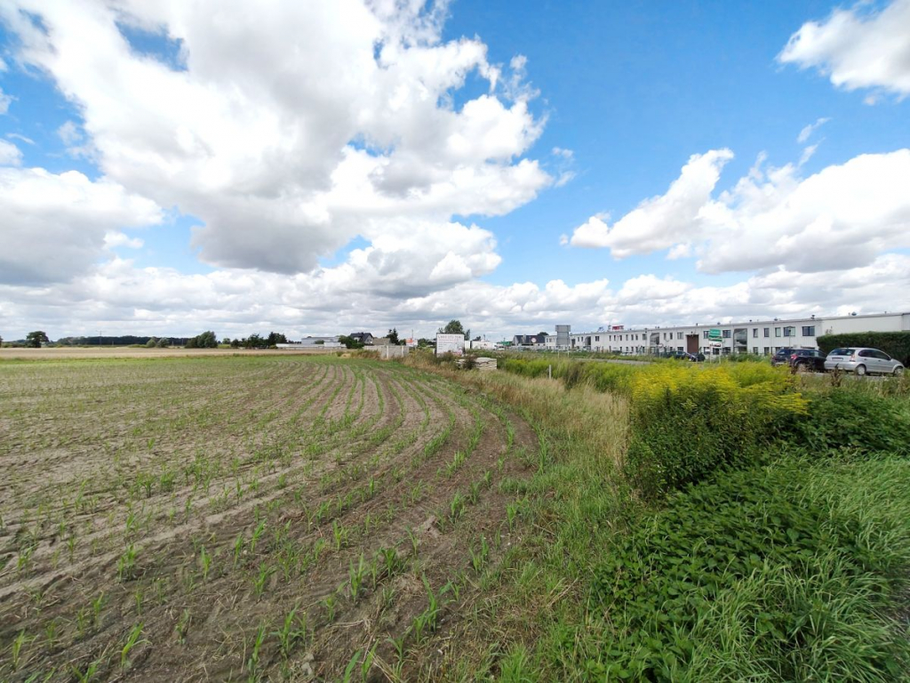 Działka pod osiedle, wielomieszkaniowa. Opalenica - zdjęcie 4