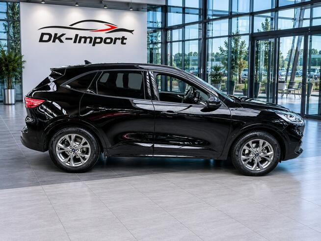 Ford Kuga Sadlno - zdjęcie 4