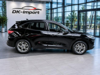 Ford Kuga Sadlno - zdjęcie 4