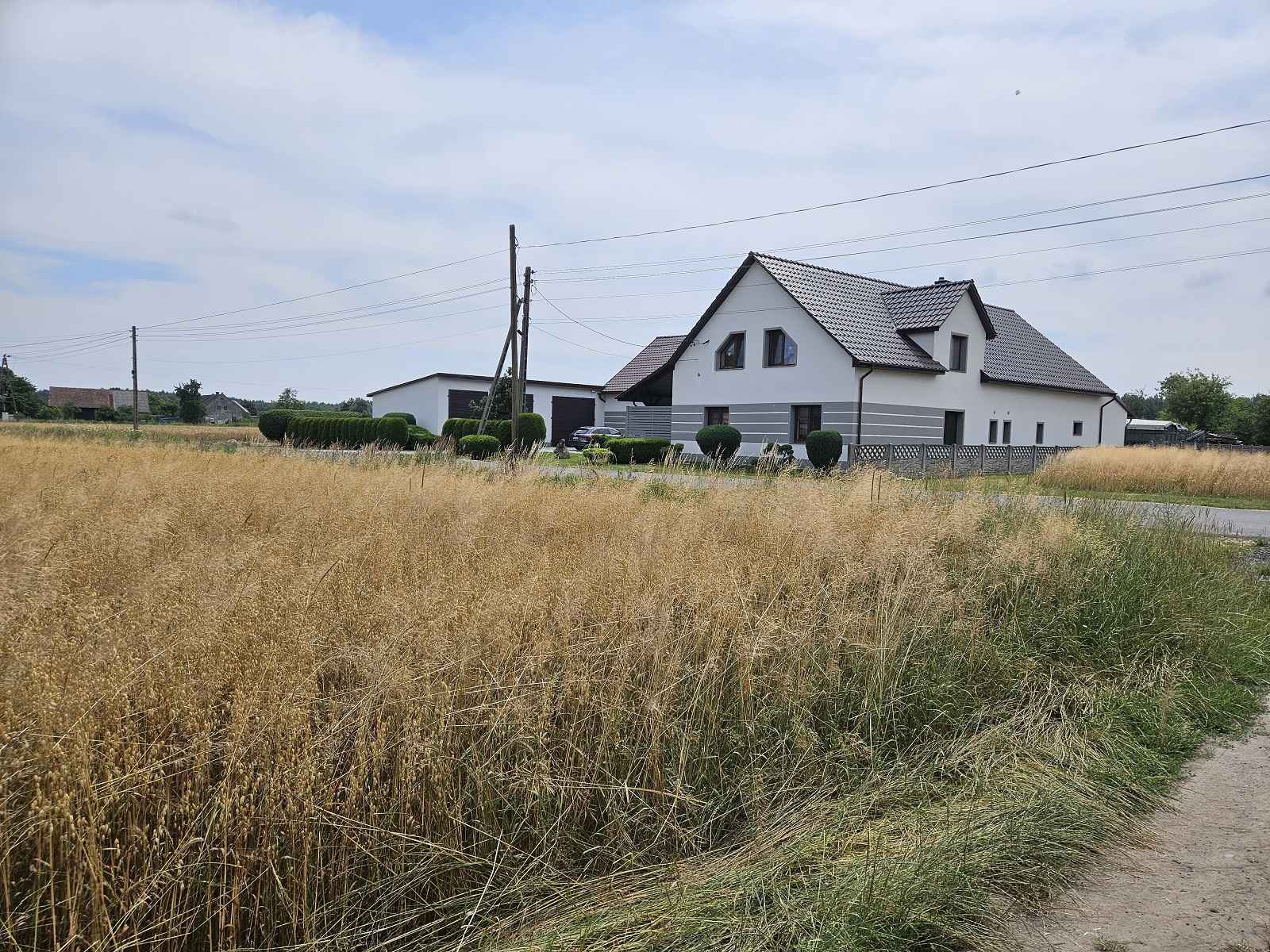 Działka Budowlana (2000 m2) MEDIA (Brzozowiec) Brzozowiec - zdjęcie 9
