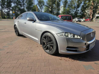 Jaguar XJ351 , krajowy, zamiana