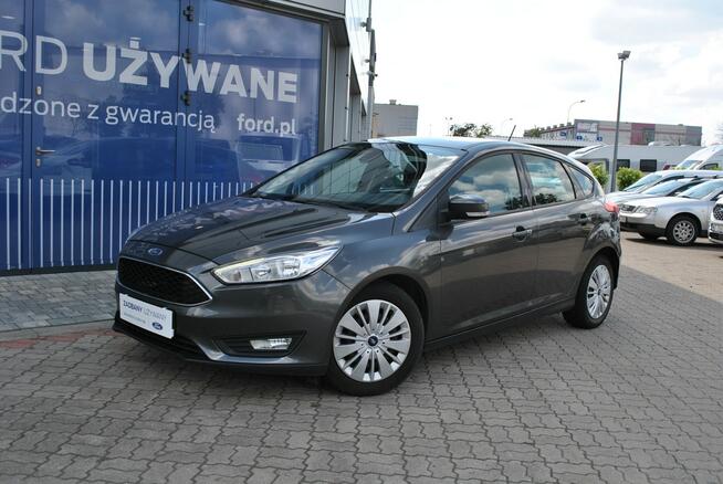 Hatchback GoldX 1,6 Benzyna 105KM ASO Forda Białystok - zdjęcie 2