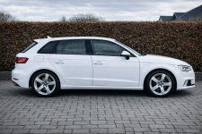Audi A3 Sadlno - zdjęcie 6