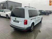 Volkswagen Caddy Trendline Maxi Klima Gliwice - zdjęcie 1