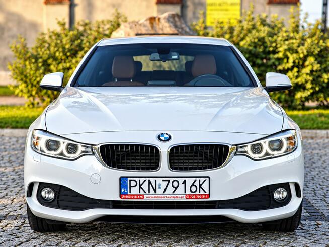 BMW 420 Sadlno - zdjęcie 2