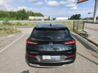 Opel Grandland X Lipówki - zdjęcie 8