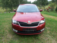 Škoda RAPID 1,4 TDI DSG Pierwszy właściciel serwisowany Sieraków - zdjęcie 2