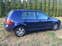 Volkswagen GOLF IV, 1.4 benzyna 2003r, Rumia - zdjęcie 4