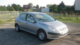 sprzedam peugeot 307 - klimatyzacja Ostrów Wielkopolski - zdjęcie 2