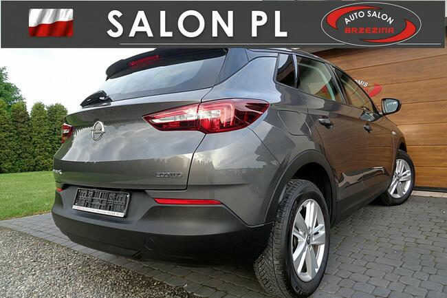 Opel Grandland X serwis ASO, Full Led, nawigacja, FV23% Rydułtowy - zdjęcie 4