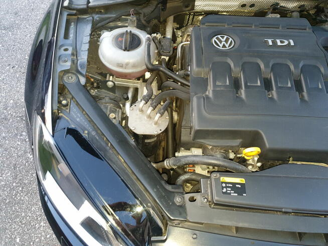 Sprzedam Golfa 7 2015r 1.6 tdi Turek - zdjęcie 7